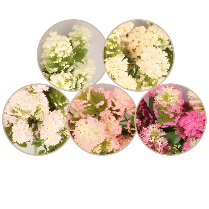 Roślina bukiet 35cm ASC25223-mix 5 kolorów – zdjęcie 2