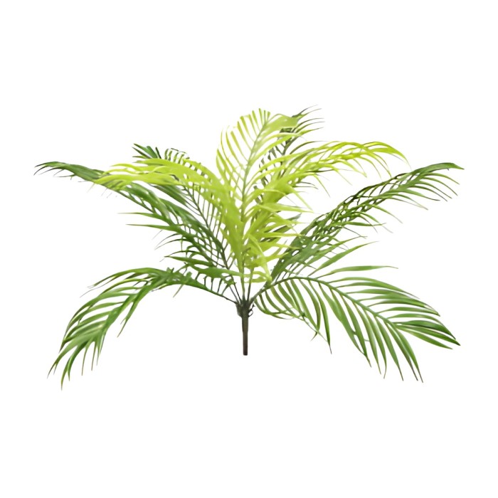 Palma bukiet 50 cm AST90464