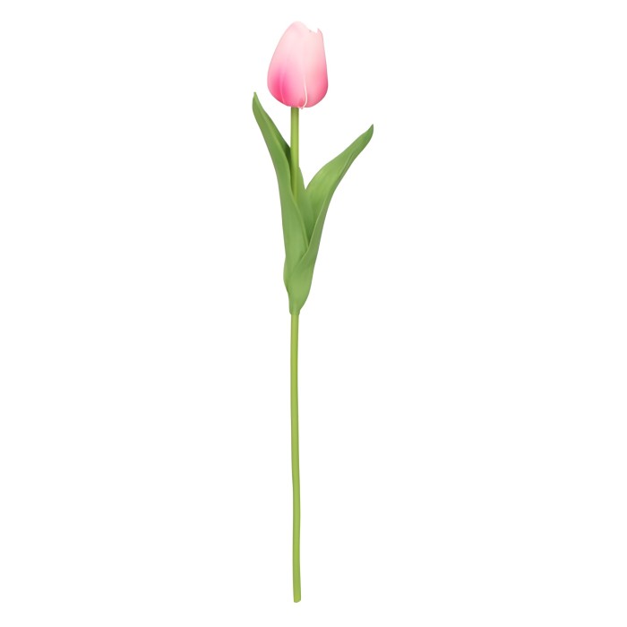 tulipan piankowy pojedynczy 32cm
