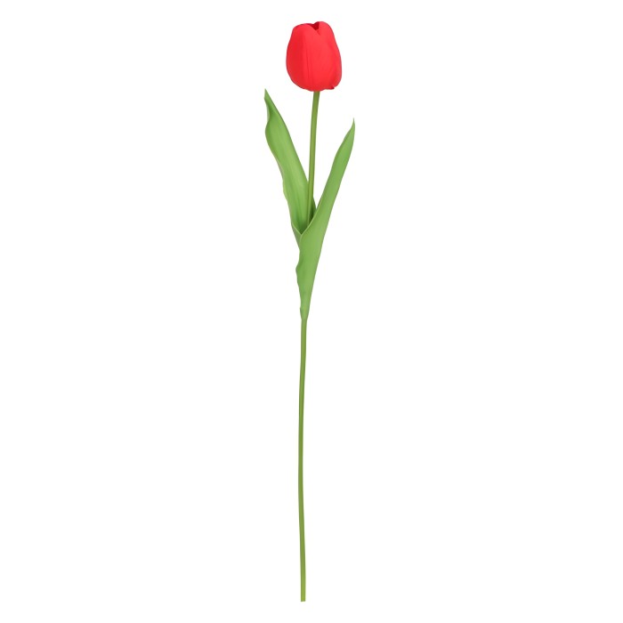Tulipan 48 cm ASC27734