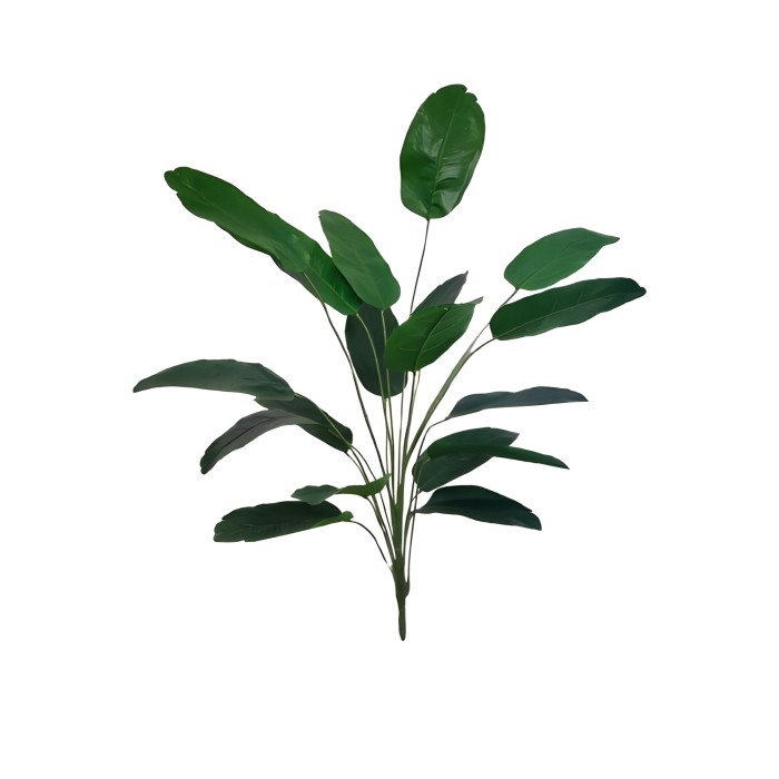 Bananowiec 120 cm ASC27837