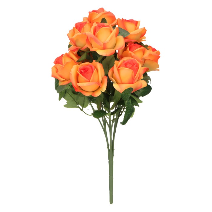 ff4d34e5cea32f90e04c227dc9d5710c.jpg