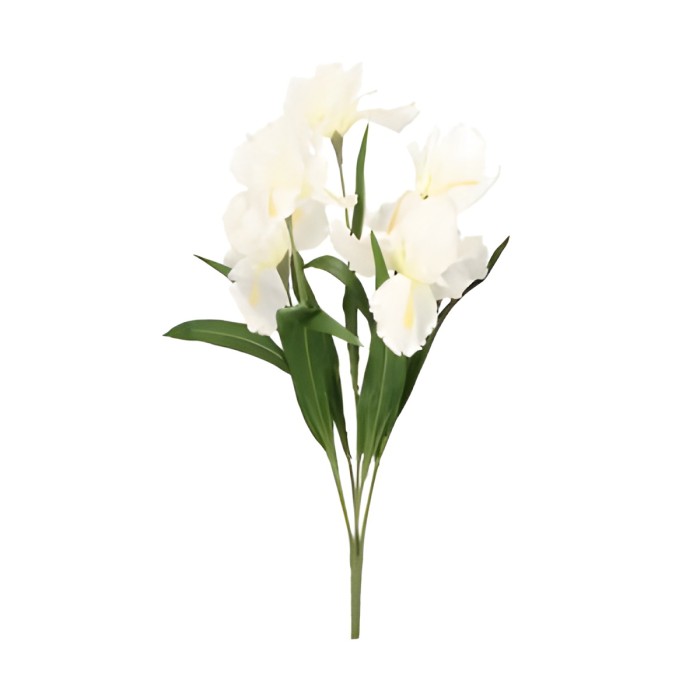 Irys Bukiet 65 cm ASC20425-1