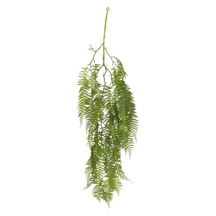 Paproć Zwisająca 110 cm ASC26222