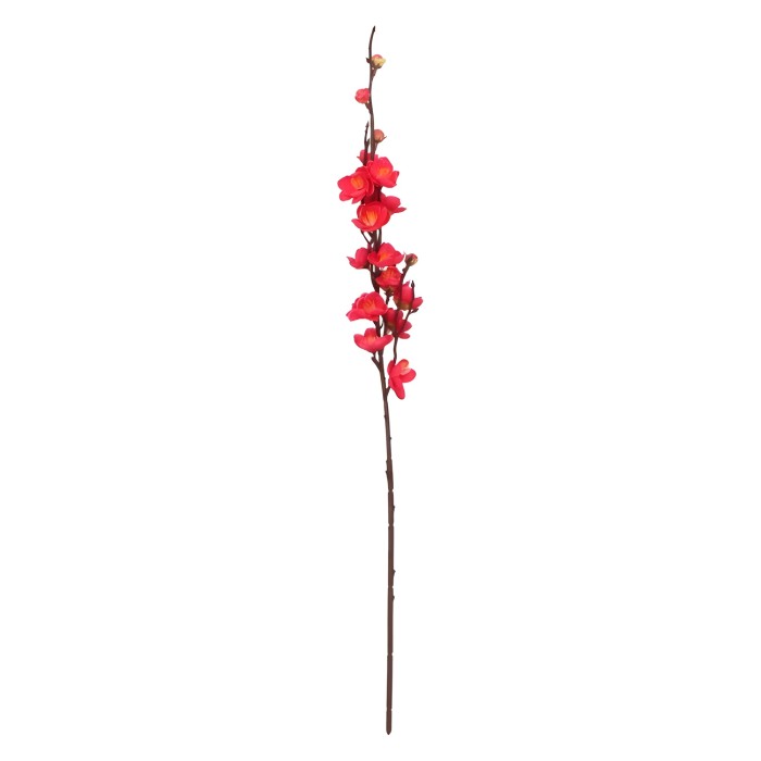 Jabłoń Gałązka 70 cm mix 3 kolorów ASC27576