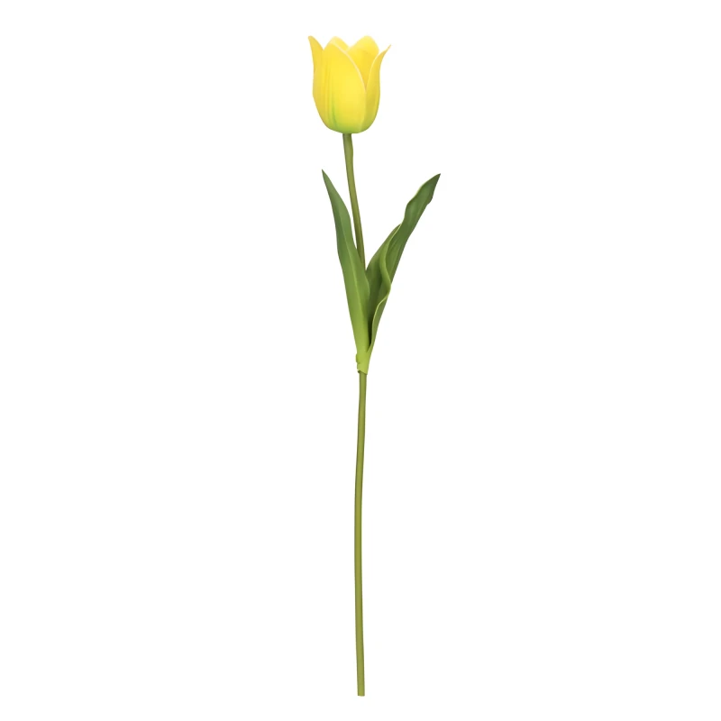 Tulipan Pojedynczy 45 cm mix 5 kolorów ASC27614