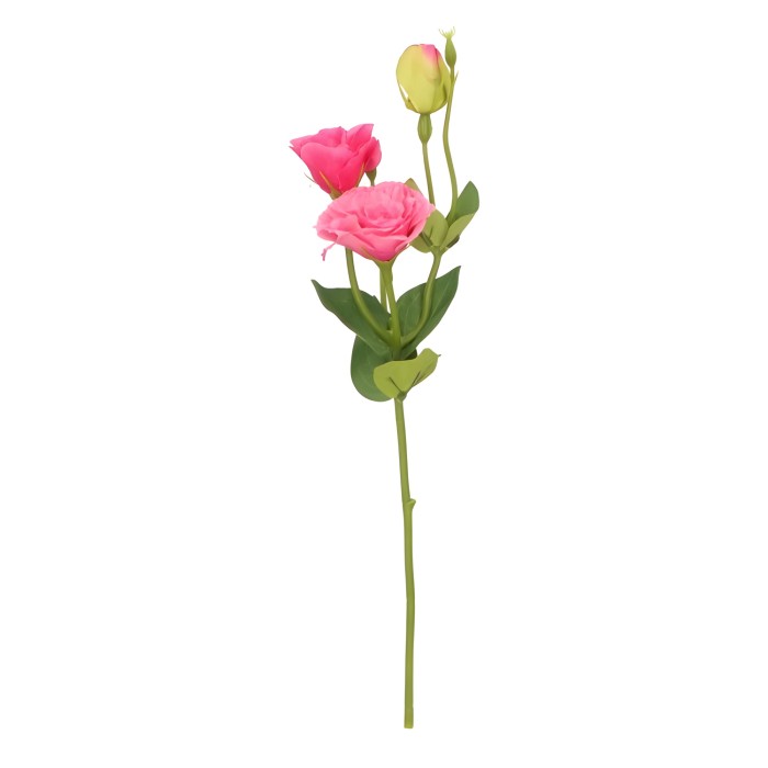 Eustoma Gałązka 43 cm mix 5 kolorów ASC27825