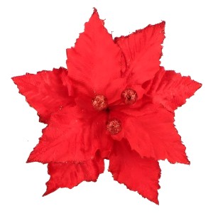 Gwiazda Betlejemska Sr 20 cm AST231128-4