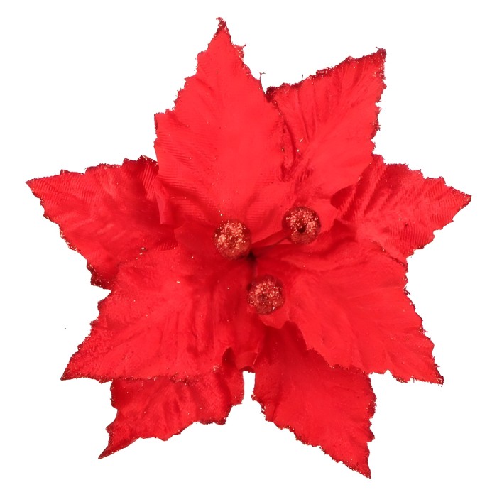 Gwiazda Betlejemska Sr 20 cm AST231128-4